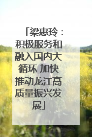 梁惠玲：积极服务和融入国内大循环 加快推动龙江高质量振兴发展