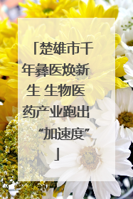 楚雄市千年彝医焕新生 生物医药产业跑出“加速度”
