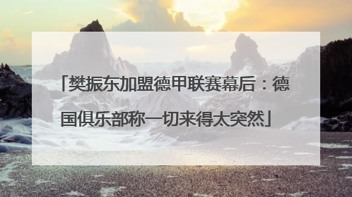 樊振东加盟德甲联赛幕后：德国俱乐部称一切来得太突然