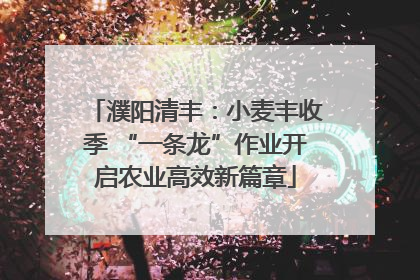 濮阳清丰：小麦丰收季 “一条龙”作业开启农业高效新篇章