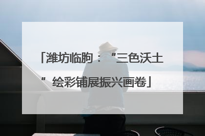 潍坊临朐：“三色沃土”绘彩铺展振兴画卷
