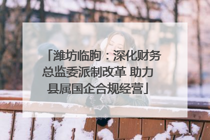 潍坊临朐：深化财务总监委派制改革 助力县属国企合规经营