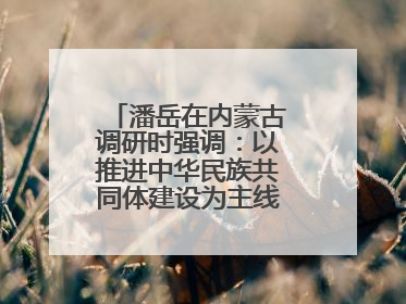 潘岳在内蒙古调研时强调：以推进中华民族共同体建设为主线推动边疆民族地区高质量发展