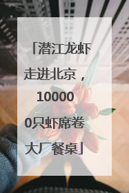 潜江龙虾走进北京，100000只虾席卷大厂餐桌