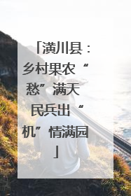 潢川县：乡村果农“愁”满天  民兵出“机”情满园