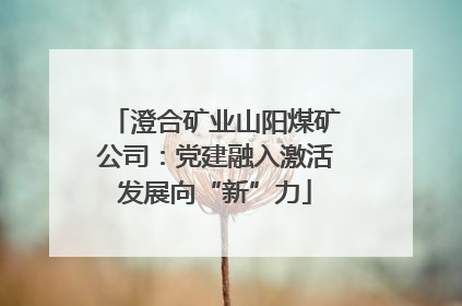 澄合矿业山阳煤矿公司：党建融入激活发展向“新”力