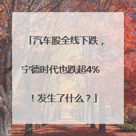 汽车股全线下跌，宁德时代也跌超4%！发生了什么？