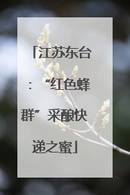 江苏东台：“红色蜂群”采酿快递之蜜