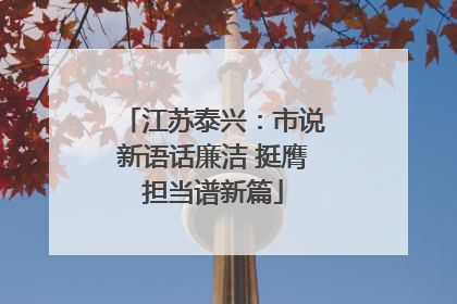 江苏泰兴：市说新语话廉洁 挺膺担当谱新篇