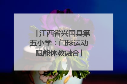 江西省兴国县第五小学：门球运动赋能体教融合