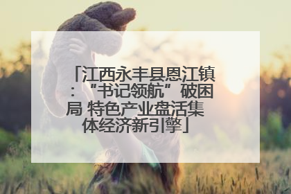 江西永丰县恩江镇：“书记领航”破困局 特色产业盘活集体经济新引擎