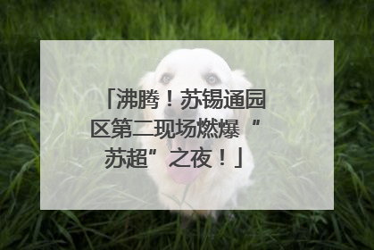 沸腾！苏锡通园区第二现场燃爆“苏超”之夜！
