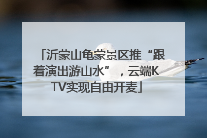沂蒙山龟蒙景区推“跟着演出游山水”，云端KTV实现自由开麦
