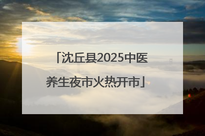 沈丘县2025中医养生夜市火热开市