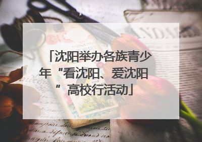 沈阳举办各族青少年“看沈阳、爱沈阳”高校行活动