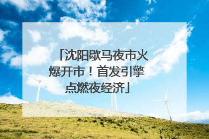 沈阳歇马夜市火爆开市！首发引擎点燃夜经济