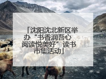 沈阳沈北新区举办“书香润吾心 阅读悦美好”读书市集活动