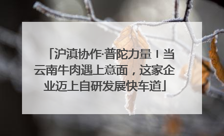 沪滇协作·普陀力量〡当云南牛肉遇上意面，这家企业迈上自研发展快车道