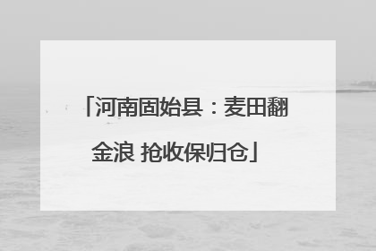 河南固始县：麦田翻金浪 抢收保归仓
