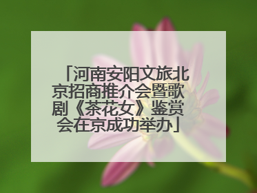 河南安阳文旅北京招商推介会暨歌剧《茶花女》鉴赏会在京成功举办
