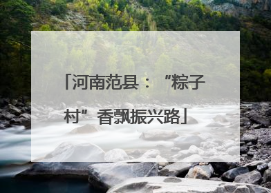 河南范县：“粽子村”香飘振兴路