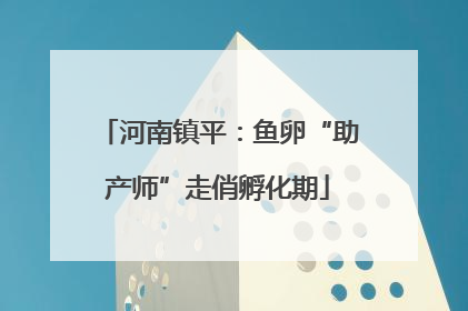 河南镇平：鱼卵“助产师”走俏孵化期