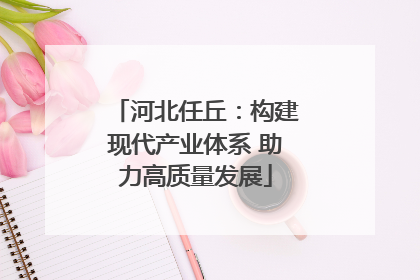 河北任丘：构建现代产业体系 助力高质量发展