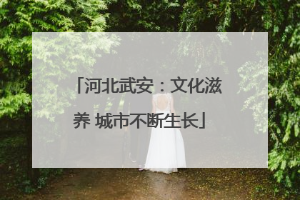 河北武安：文化滋养 城市不断生长