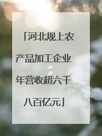 河北规上农产品加工企业年营收超六千八百亿元