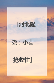 河北隆尧：小麦抢收忙
