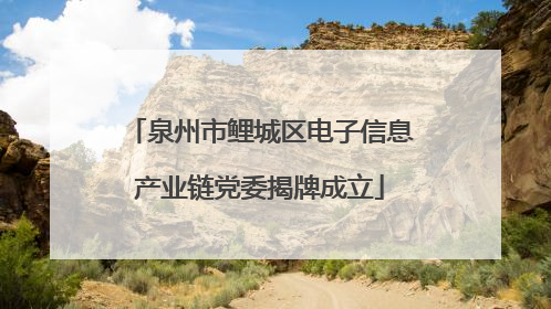 泉州市鲤城区电子信息产业链党委揭牌成立