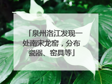 泉州洛江发现一处南宋龙窑，分布瓷器、窑具等