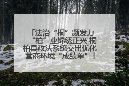 法治“桐”频发力 “柏”业锦绣正兴 桐柏县政法系统交出优化营商环境“成绩单”