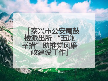 泰兴市公安局鼓楼派出所 “五廉举措”助推党风廉政建设工作