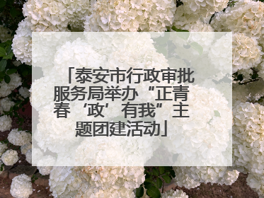 泰安市行政审批服务局举办“正青春‘政’有我”主题团建活动