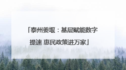 泰州姜堰：基层赋能数字提速 惠民政策进万家
