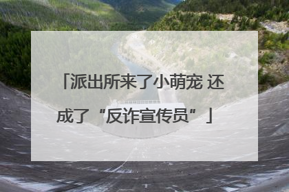 派出所来了小萌宠 还成了“反诈宣传员”
