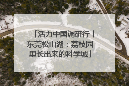 活力中国调研行丨东莞松山湖：荔枝园里长出来的科学城