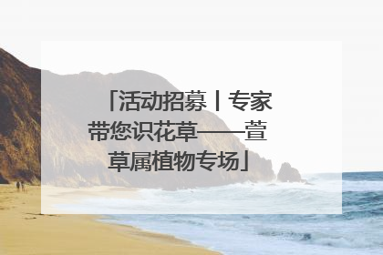 活动招募丨专家带您识花草——萱草属植物专场