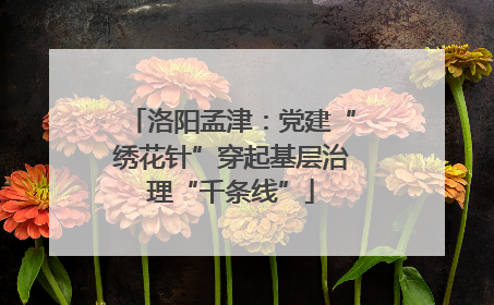 洛阳孟津：党建“绣花针”穿起基层治理“千条线”