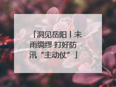 洞见岳阳丨未雨绸缪 打好防汛“主动仗”