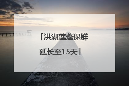 洪湖莲蓬保鲜延长至15天