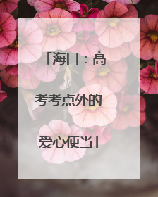 海口：高考考点外的爱心便当
