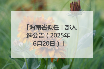 海南省拟任干部人选公告（2025年6月20日）