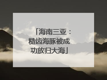 海南三亚：糙齿海豚被成功放归大海