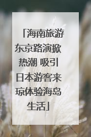 海南旅游东京路演掀热潮 吸引日本游客来琼体验海岛生活