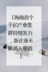 海南首个千亿产业集群持续发力，新企业不断涌入赛道