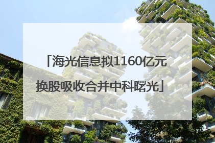 海光信息拟1160亿元换股吸收合并中科曙光