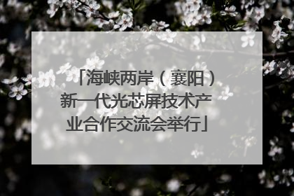 海峡两岸（襄阳）新一代光芯屏技术产业合作交流会举行