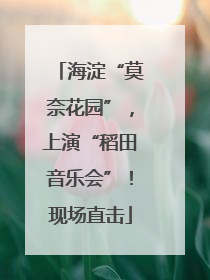 海淀“莫奈花园”，上演“稻田音乐会”！现场直击